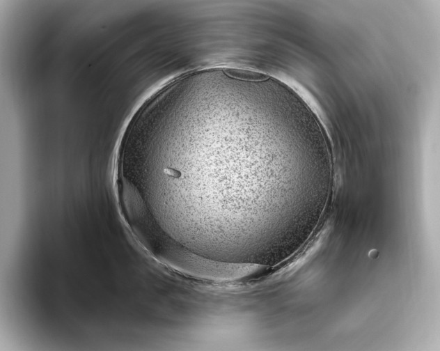 X0000093420957200710260956