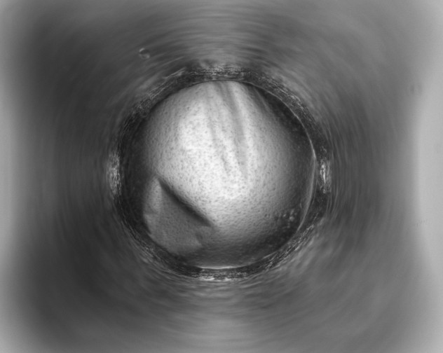 X0000093420963200710260955