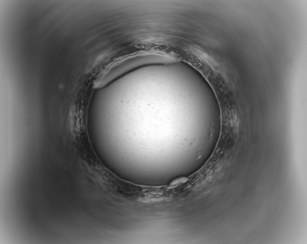 X0000093420965200710260955