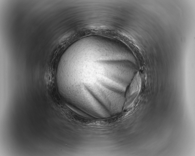 X0000093420966200710260955