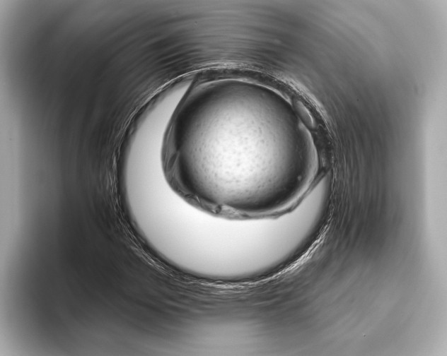 X0000093420969200710260955