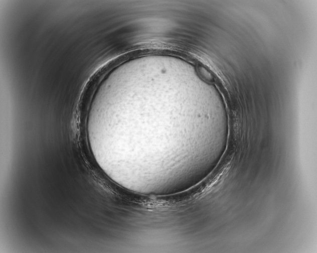 X0000093420971200710260955