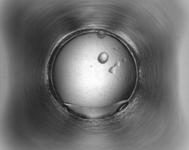 X0000093420972200710260955