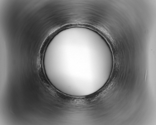 X0000093420974200710260955