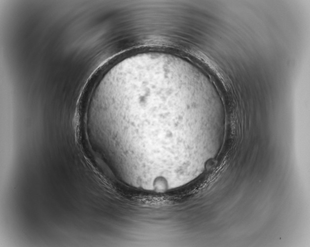 X0000093420975200710260955