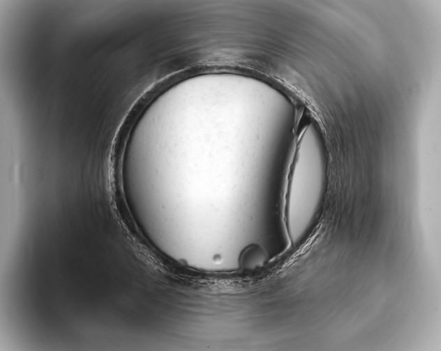 X0000093420976200710260955