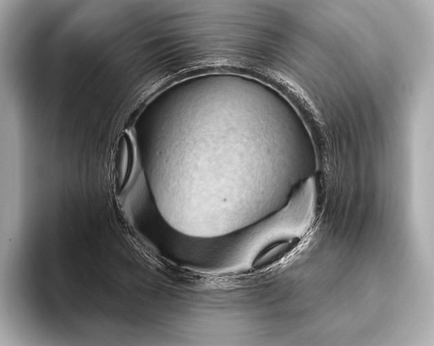 X0000093420977200710260955