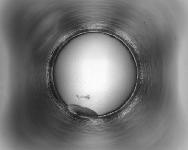 X0000093420978200710260955