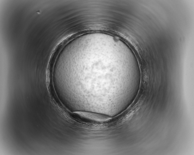 X0000093420979200710260955