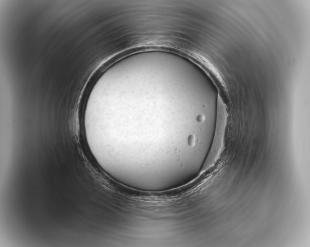 X0000093420980200710260955