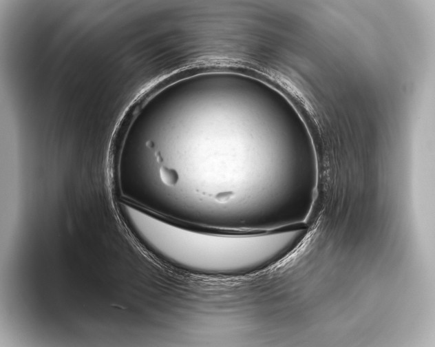 X0000093420981200710260955