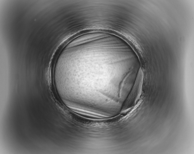 X0000093420982200710260955