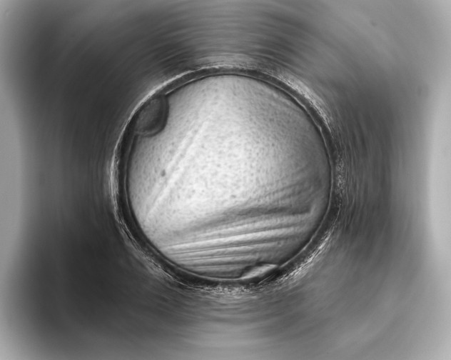 X0000093420983200710260955