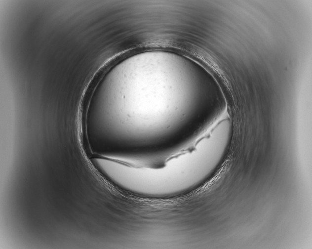 X0000093420984200710260955