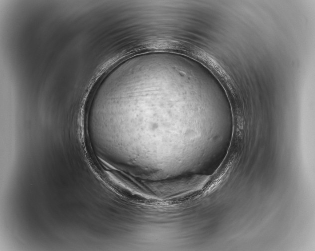 X0000093420986200710260955