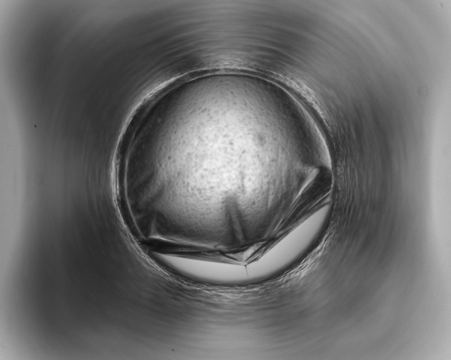 X0000093420987200710260955