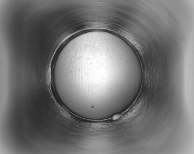 X0000093420988200710260955