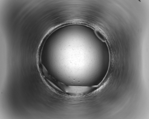 X0000093420989200710260955