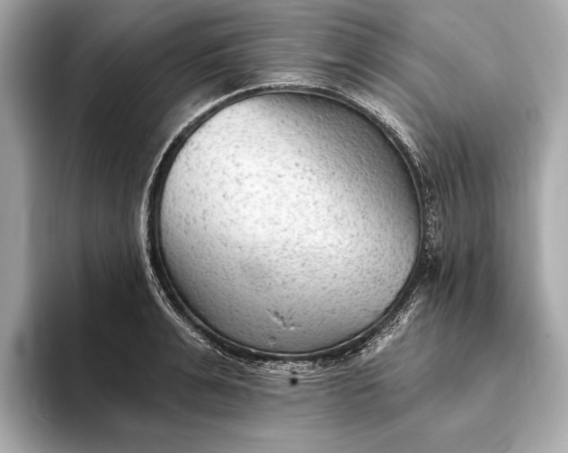 X0000093420991200710260955