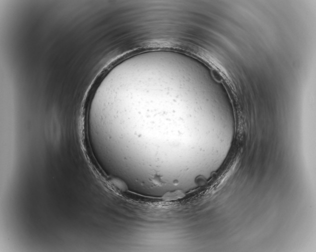 X0000093420992200710260955