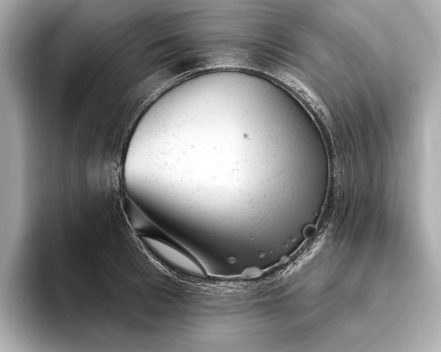 X0000093420993200710260955