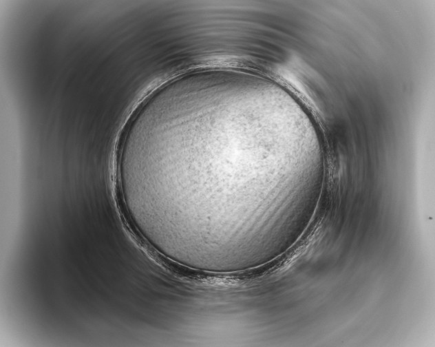 X0000093420994200710260955