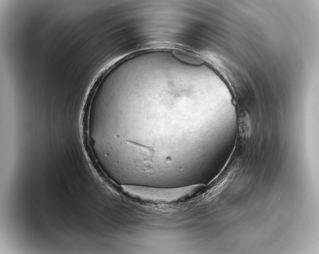 X0000093420995200710260955