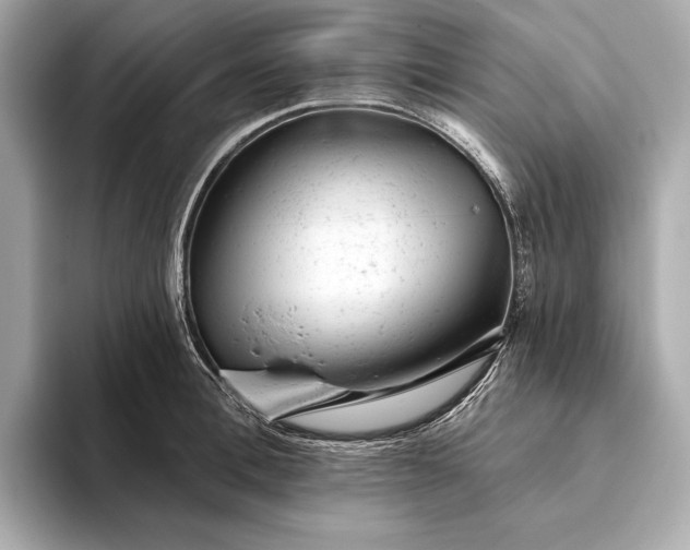 X0000093420996200710260955