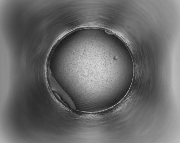 X0000093420998200710260955