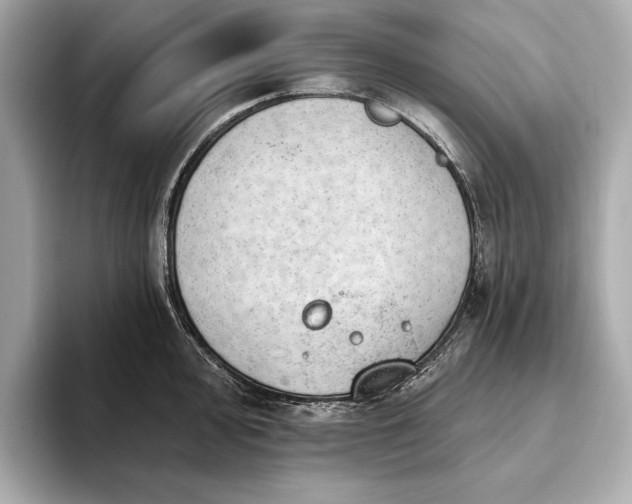 X0000093421000200710260955