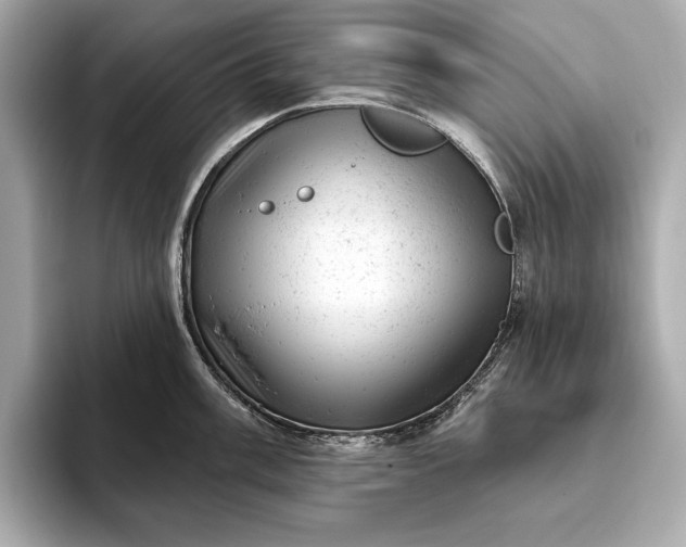 X0000093421003200710260955