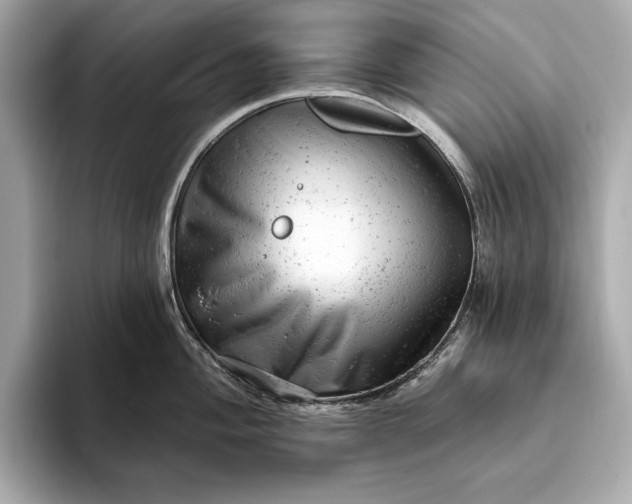 X0000093421004200710260954