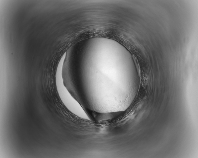 X0000093421010200710260954