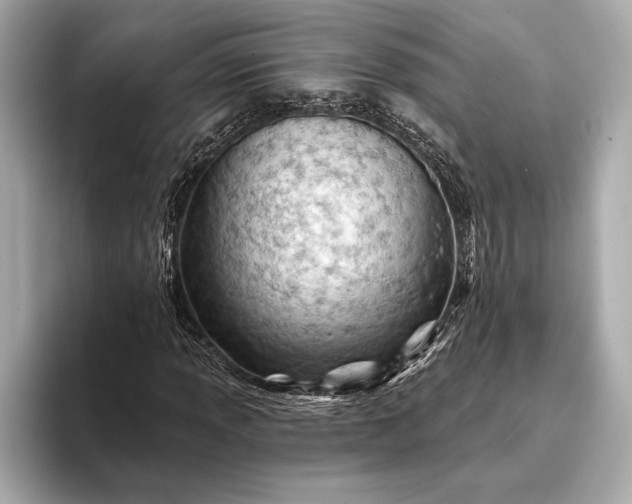 X0000093421013200710260954