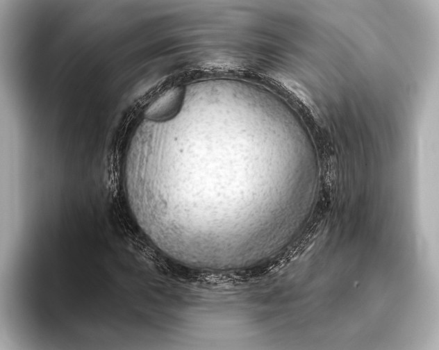 X0000093421015200710260954