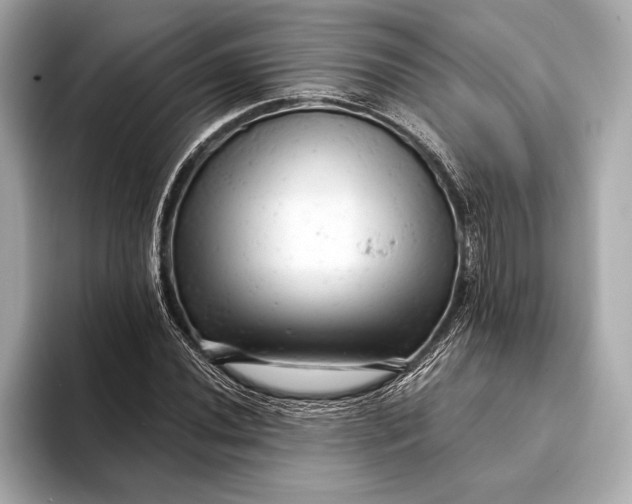 X0000093421020200710260954