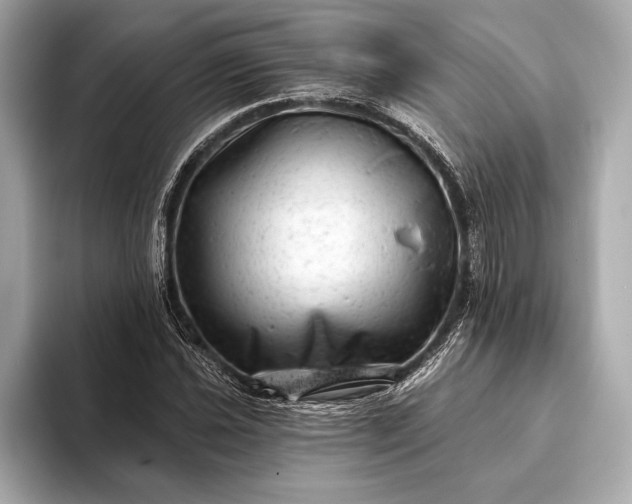 X0000093421021200710260954