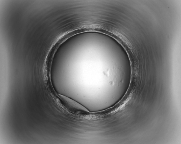 X0000093421022200710260954