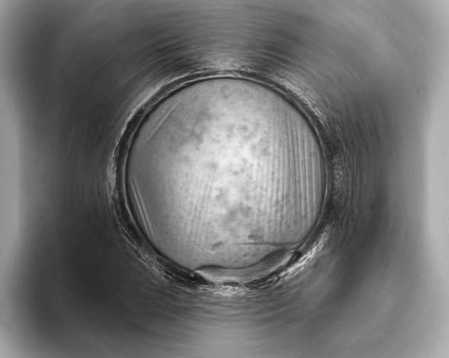 X0000093421023200710260954