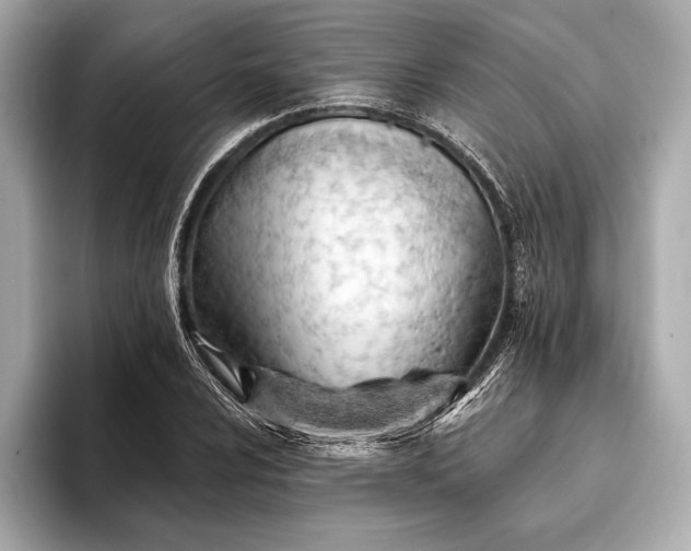 X0000093421024200710260954