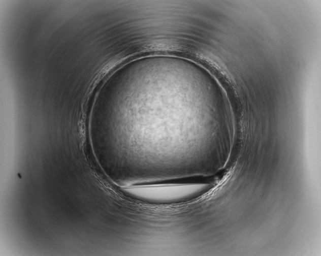 X0000093421025200710260954