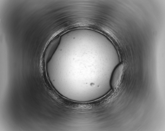 X0000093421026200710260954