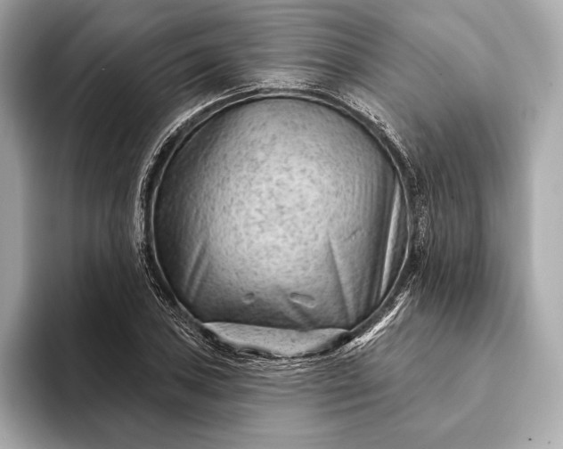 X0000093421027200710260954