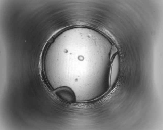 X0000093421028200710260954