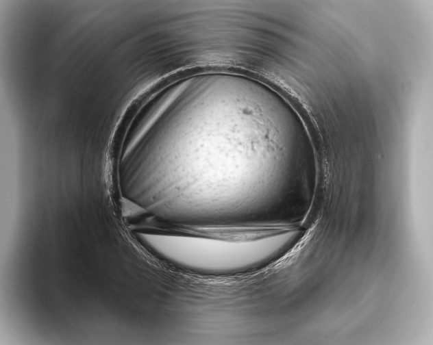 X0000093421029200710260954