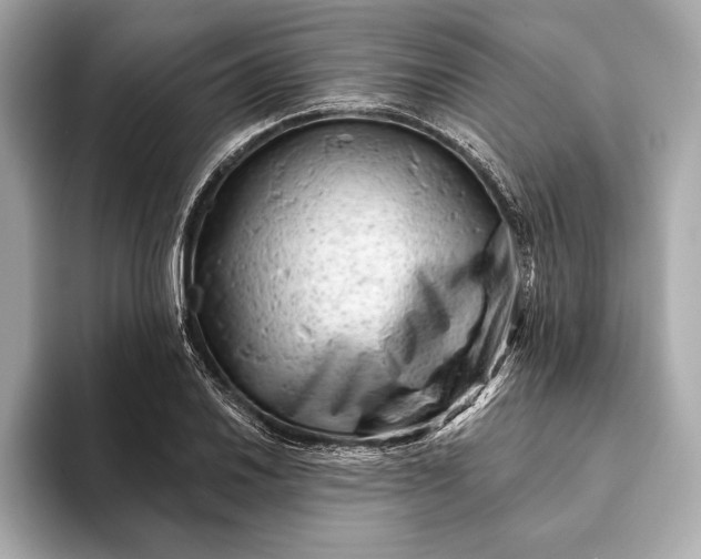 X0000093421030200710260954