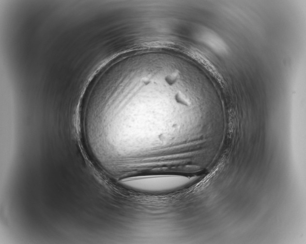 X0000093421031200710260954