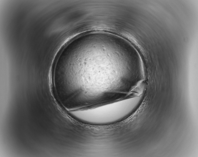 X0000093421032200710260954