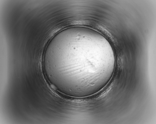 X0000093421033200710260954