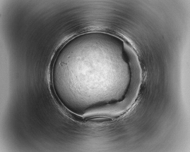 X0000093421034200710260954